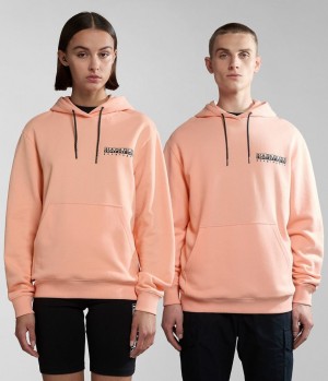 Napapijri Boyd Hoodie Hoodie Dames Roze | 2638704-CD