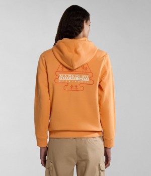 Napapijri Faber Hoodie Hoodie Dames Oranje | 8746352-YF