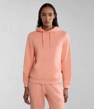 Napapijri Iaato Summer Hoodie Hoodie Dames Roze | 5837921-JM