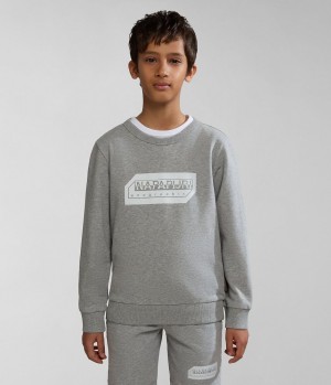 Napapijri Kitik Sweatshirt (4-16 YEARS) Sweatshirts Kinderen Grijs | 8174639-US