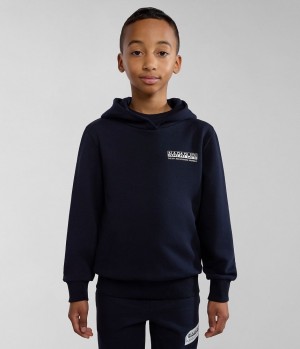 Napapijri Liard Hoodie (4-16 YEARS) Hoodie Kinderen Donkerblauw | 1439768-NV