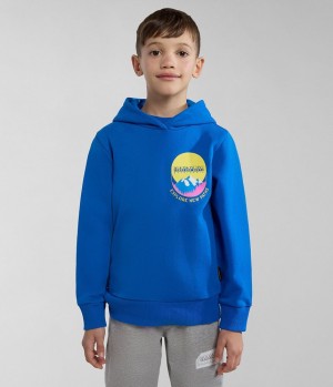 Napapijri Liard Hoodie (4-16 YEARS) Hoodie Kinderen Blauw | 4097125-TP