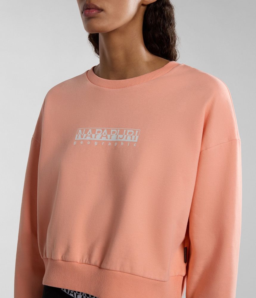 Napapijri Box Sweatshirt Sweatshirts Dames Roze | 7652803-IG