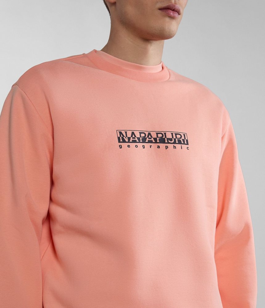 Napapijri Box Sweatshirt Sweatshirts Heren Roze | 3627409-VU