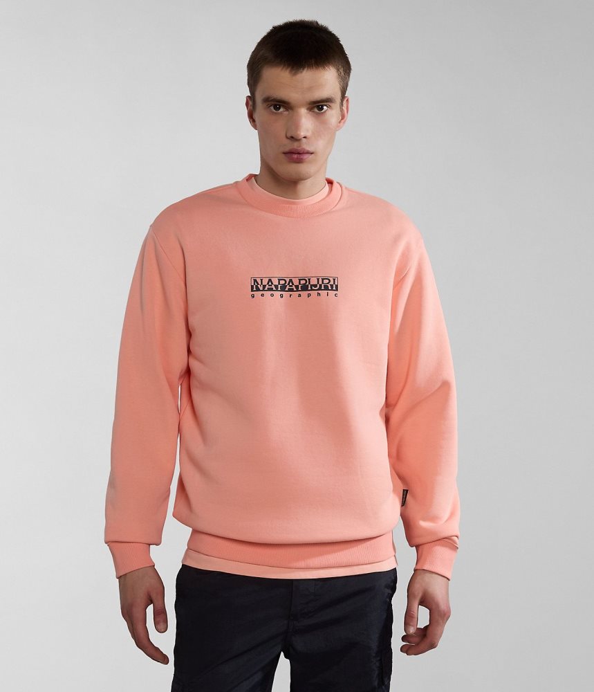 Napapijri Box Sweatshirt Sweatshirts Heren Roze | 3627409-VU