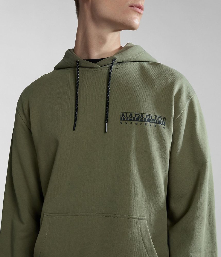 Napapijri Boyd Hoodie Hoodie Dames Groen | 0392841-AT