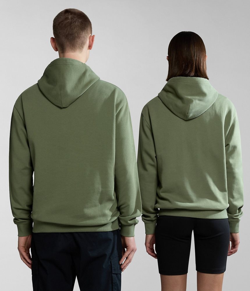 Napapijri Boyd Hoodie Hoodie Dames Groen | 6489213-WV