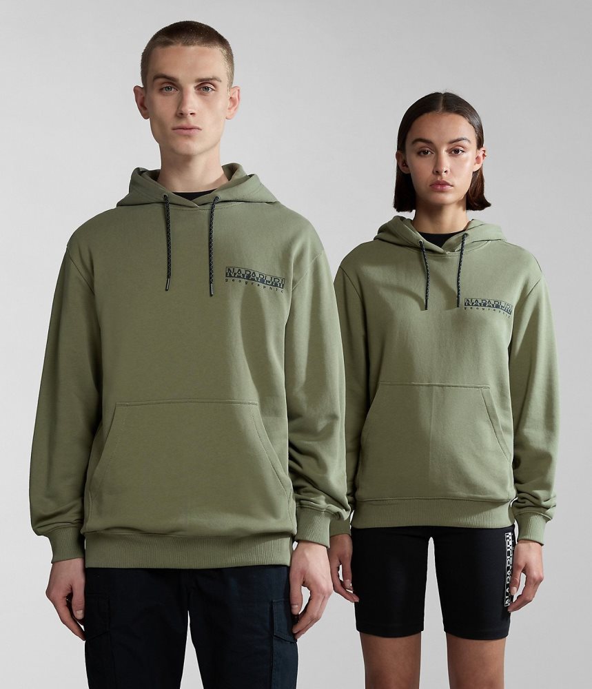 Napapijri Boyd Hoodie Hoodie Heren Groen | 5064217-LD