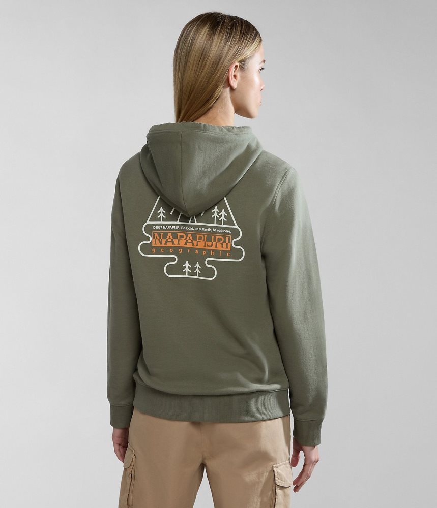 Napapijri Faber Hoodie Hoodie Dames Groen | 7821935-QI