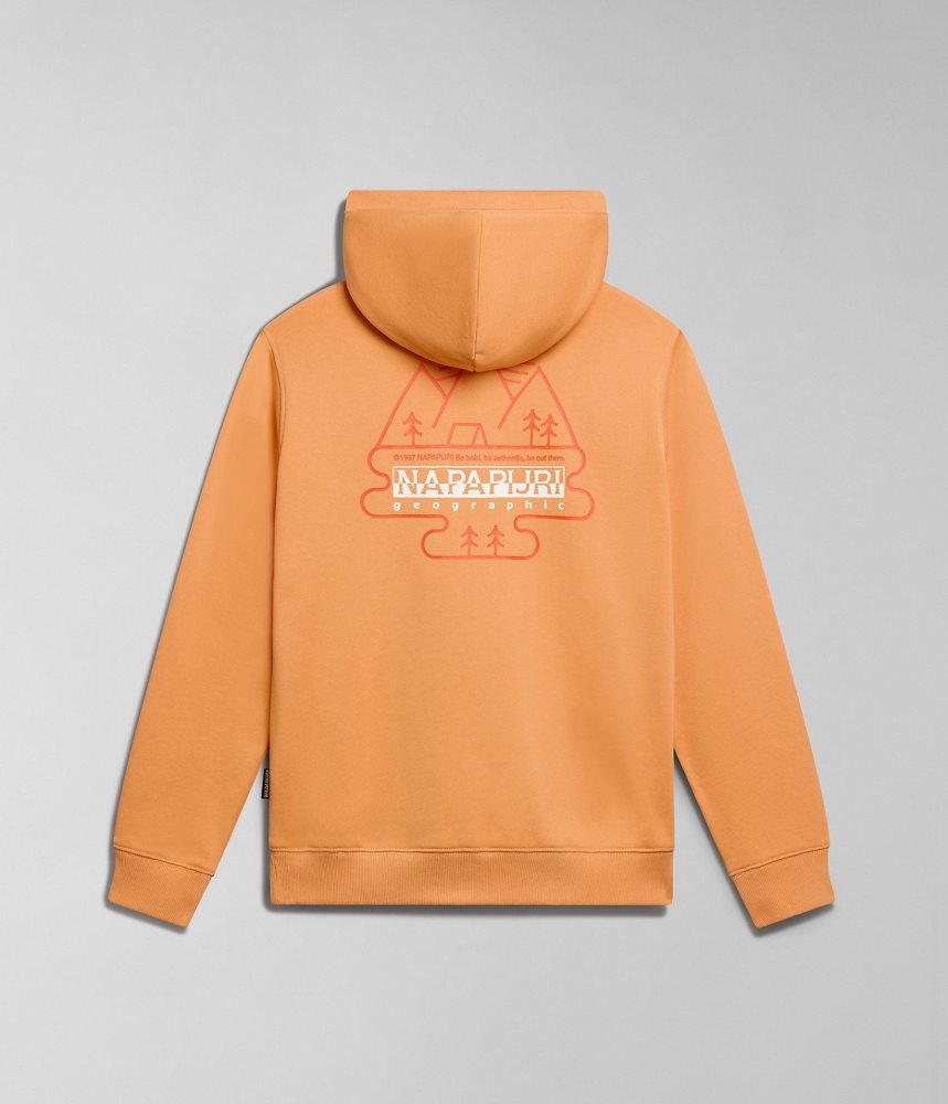 Napapijri Faber Hoodie Hoodie Dames Oranje | 8746352-YF