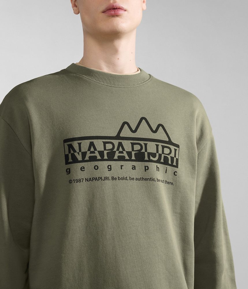 Napapijri Faber Sweatshirt Sweatshirts Dames Groen | 0459287-XJ