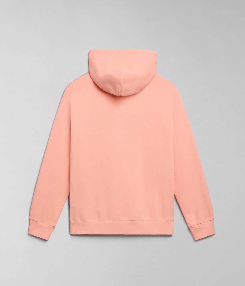 Napapijri Iaato Summer Hoodie Hoodie Dames Roze | 5837921-JM