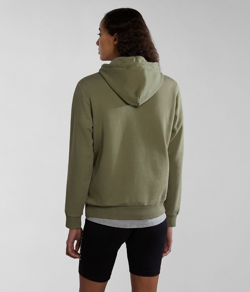 Napapijri Iaato Summer Hoodie Hoodie Dames Groen | 6429703-KI