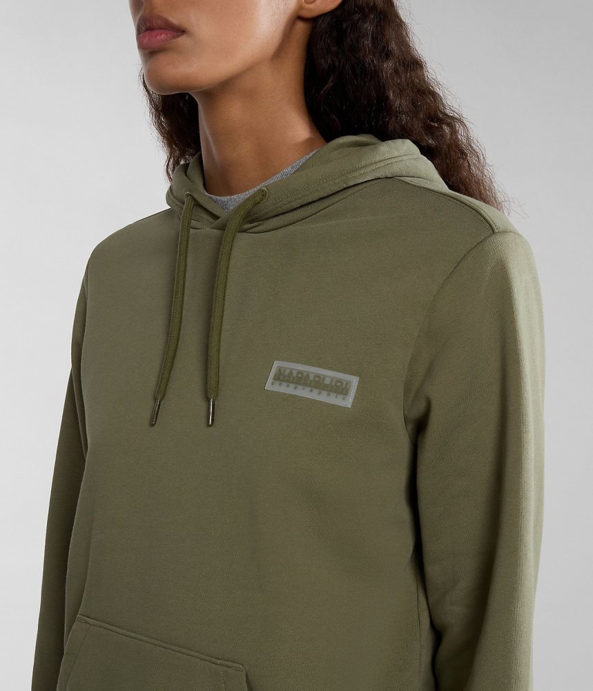 Napapijri Iaato Summer Hoodie Hoodie Dames Groen | 6429703-KI