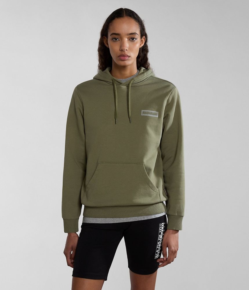 Napapijri Iaato Summer Hoodie Hoodie Dames Groen | 6429703-KI