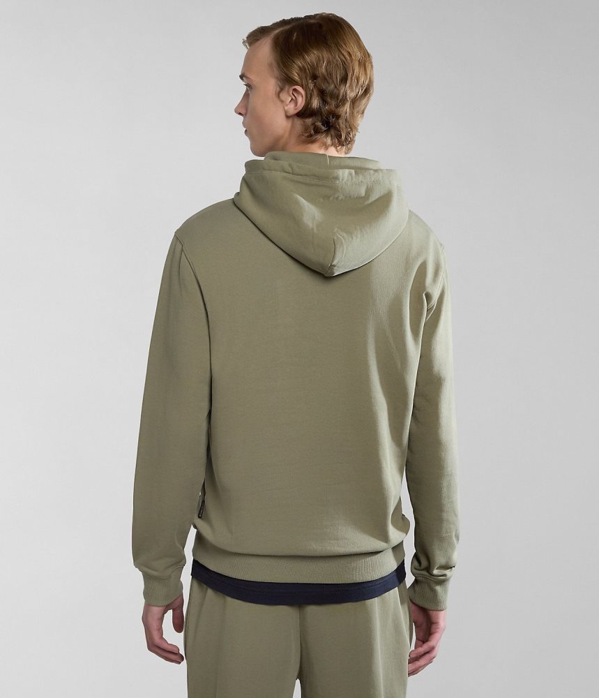 Napapijri Iaato Summer Hoodie Hoodie Heren Groen | 2837456-GM