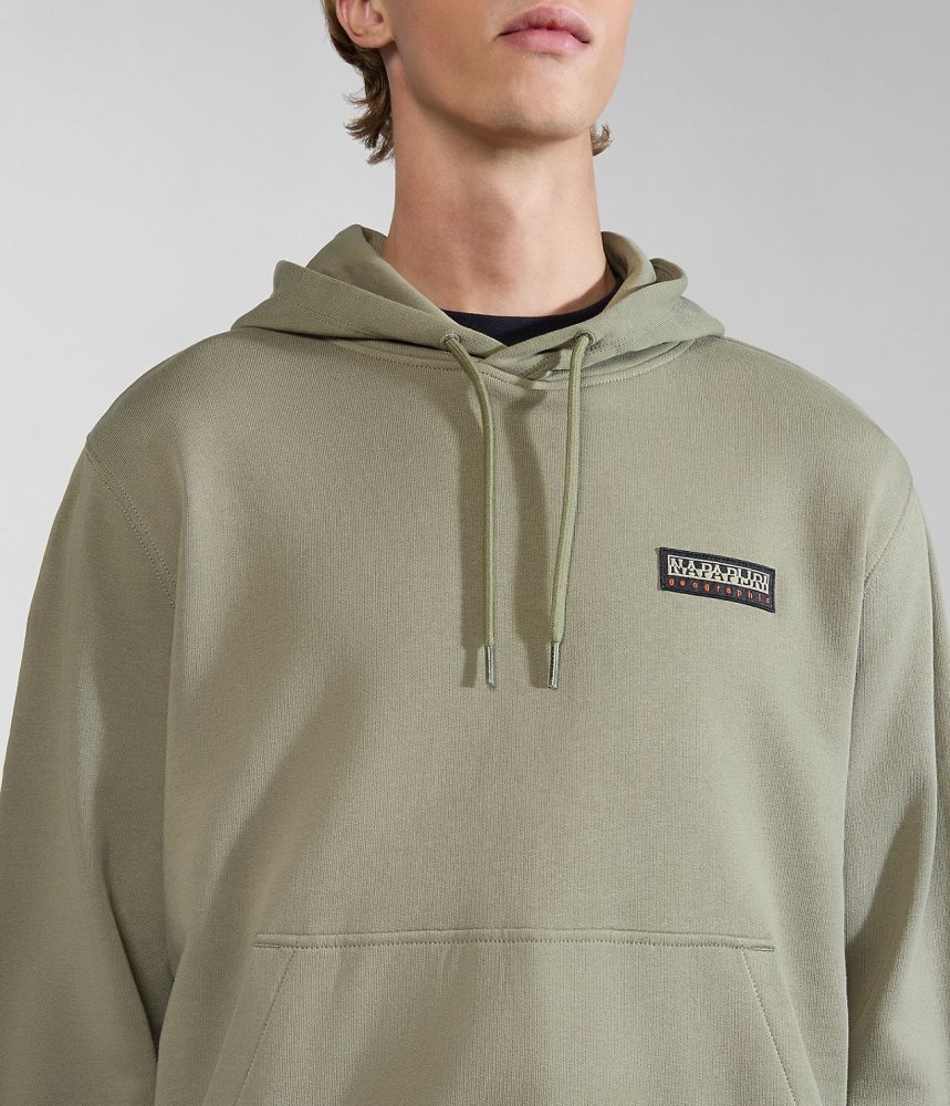 Napapijri Iaato Summer Hoodie Hoodie Heren Groen | 2837456-GM