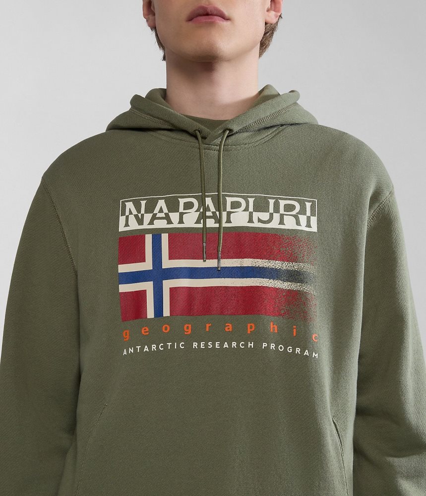 Napapijri Kreis Hoodie Hoodie Heren Groen | 0734219-QI