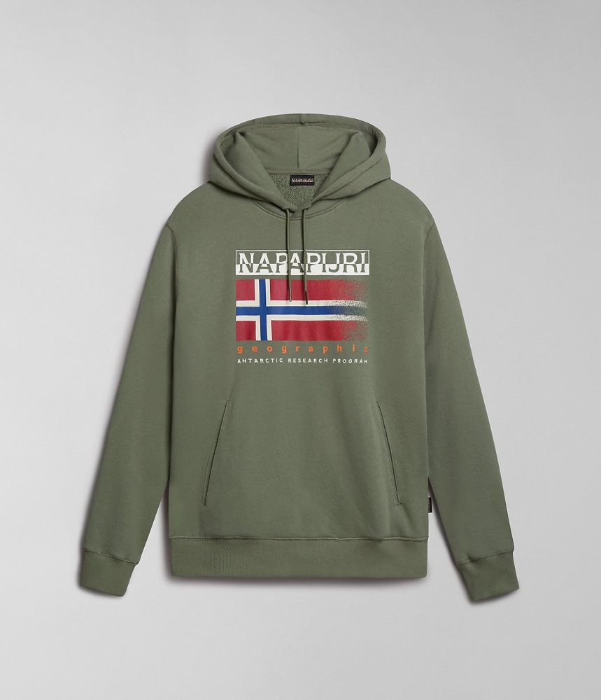 Napapijri Kreis Hoodie Hoodie Heren Groen | 0734219-QI