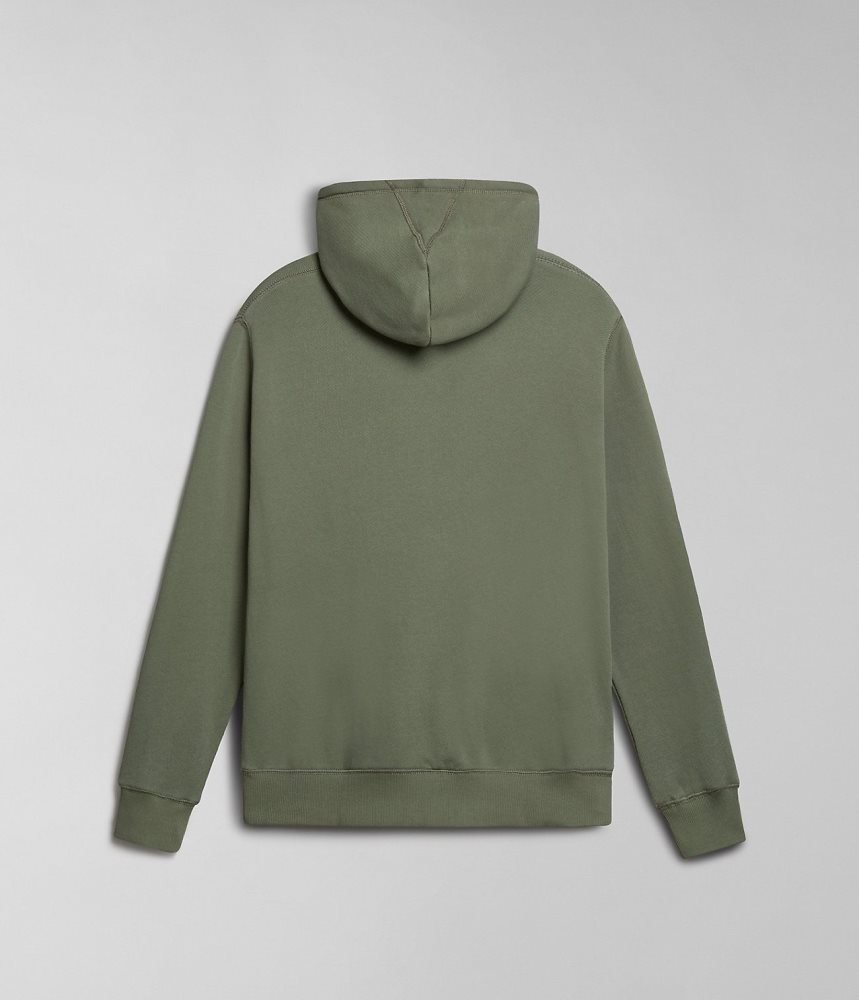 Napapijri Kreis Hoodie Hoodie Heren Groen | 0734219-QI