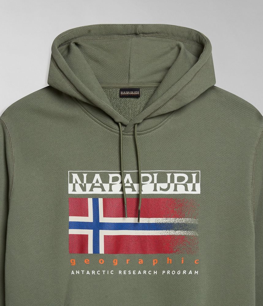 Napapijri Kreis Hoodie Hoodie Heren Groen | 0734219-QI