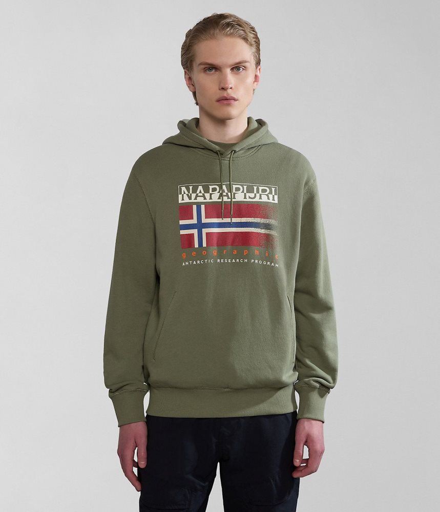 Napapijri Kreis Hoodie Hoodie Heren Groen | 0734219-QI