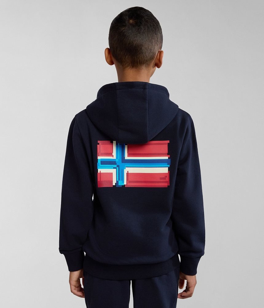 Napapijri Liard Hoodie (4-16 YEARS) Hoodie Kinderen Donkerblauw | 1439768-NV